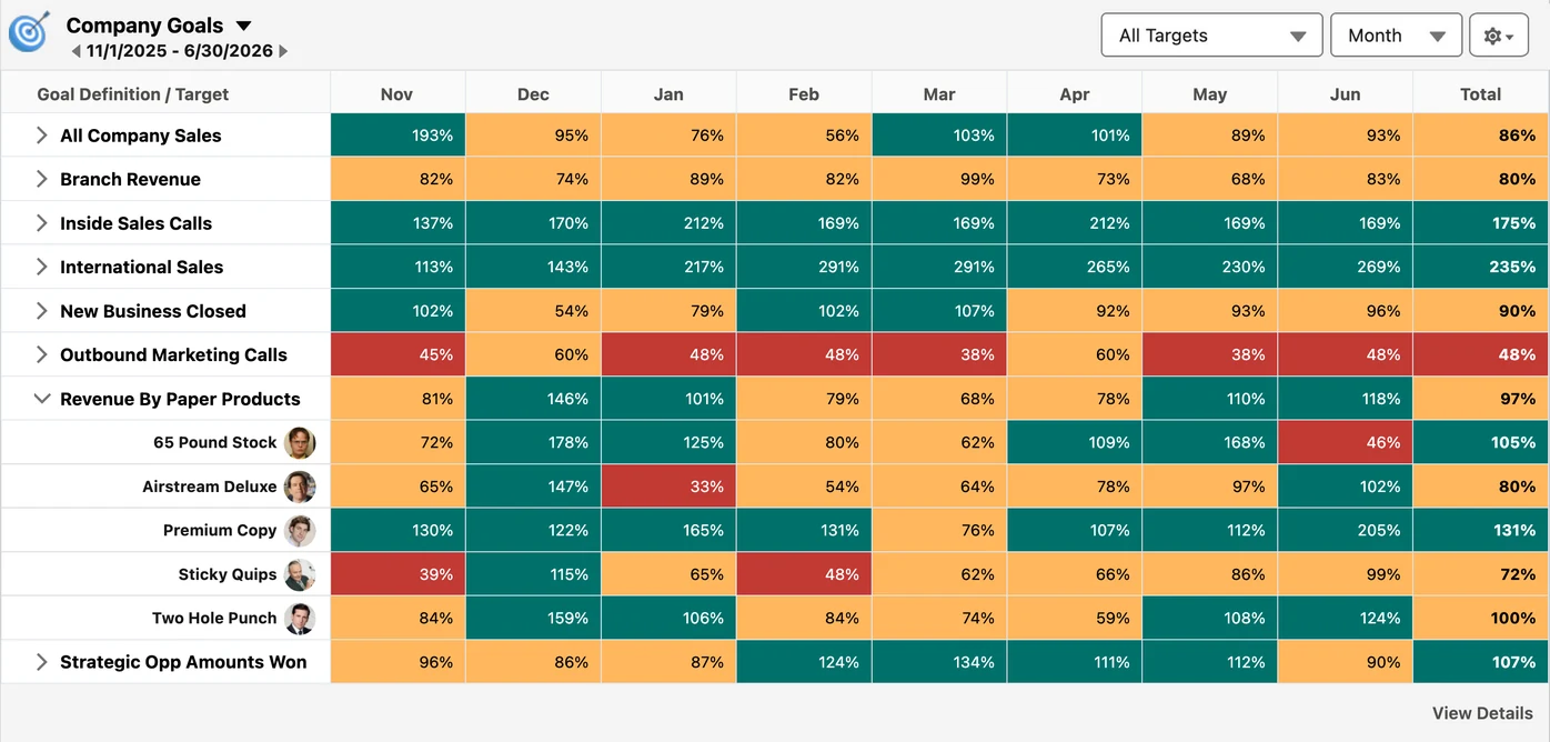 anyGoal Matrix in Salesforce showing eight company goals by month with product-level targets expanded